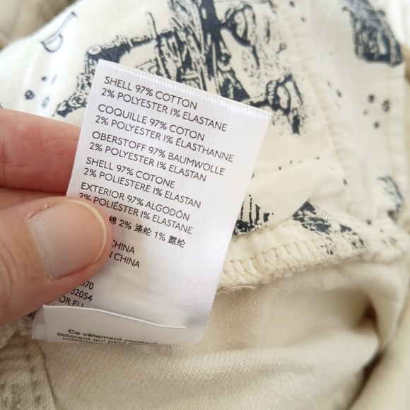 Anthropologie Pilcro Stripe Denim Slim Boyfriend Shorts - Picture 9 of 9